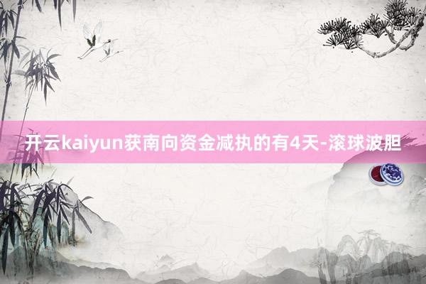 开云kaiyun获南向资金减执的有4天-滚球波胆