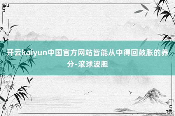 开云kaiyun中国官方网站皆能从中得回鼓胀的养分-滚球波胆