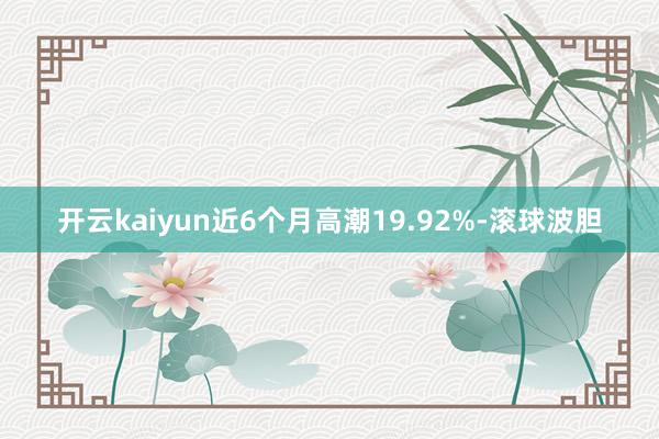 开云kaiyun近6个月高潮19.92%-滚球波胆