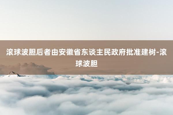 滚球波胆后者由安徽省东谈主民政府批准建树-滚球波胆