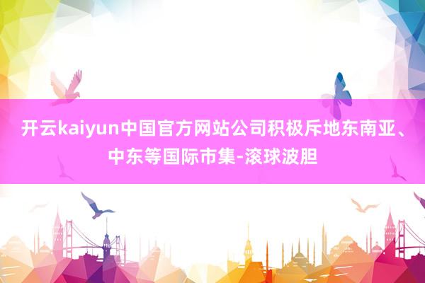 开云kaiyun中国官方网站公司积极斥地东南亚、中东等国际市集-滚球波胆