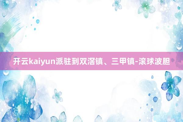 开云kaiyun派驻到双滘镇、三甲镇-滚球波胆