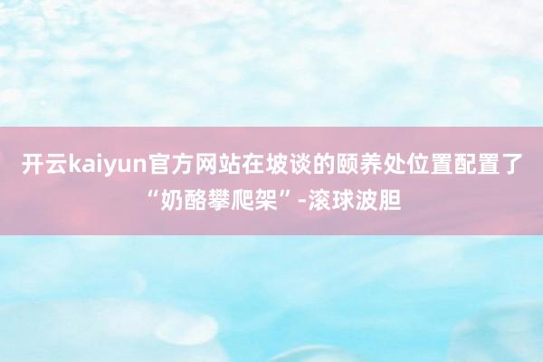 开云kaiyun官方网站在坡谈的颐养处位置配置了“奶酪攀爬架”-滚球波胆