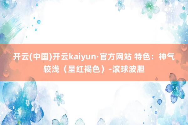 开云(中国)开云kaiyun·官方网站 特色:神气较浅(呈红褐色)-滚球波胆
