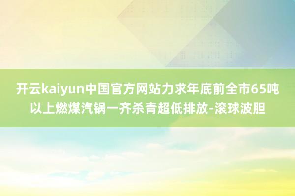 开云kaiyun中国官方网站力求年底前全市65吨以上燃煤汽锅一齐杀青超低排放-滚球波胆