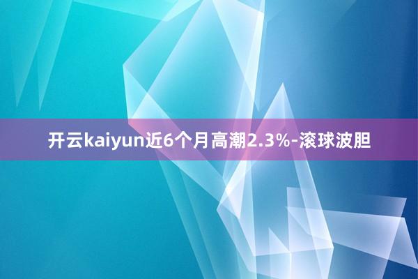 开云kaiyun近6个月高潮2.3%-滚球波胆
