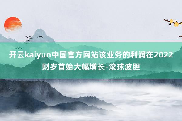 开云kaiyun中国官方网站该业务的利润在2022财岁首始大幅增长-滚球波胆
