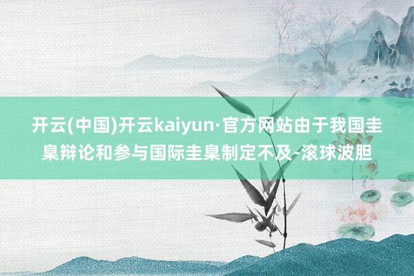 开云(中国)开云kaiyun·官方网站由于我国圭臬辩论和参与国际圭臬制定不及-滚球波胆