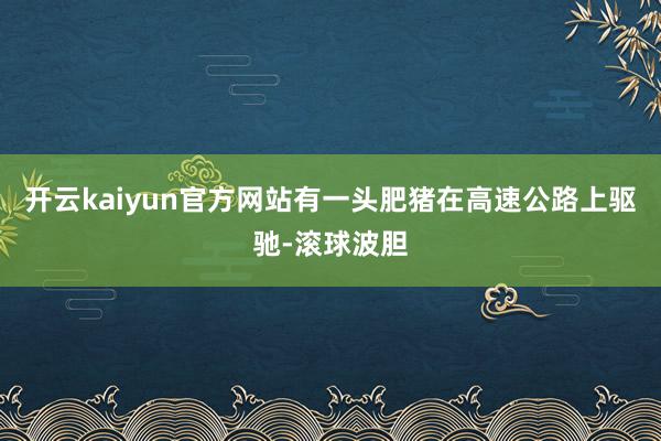 开云kaiyun官方网站有一头肥猪在高速公路上驱驰-滚球波胆