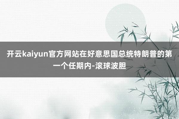 开云kaiyun官方网站在好意思国总统特朗普的第一个任期内-滚球波胆