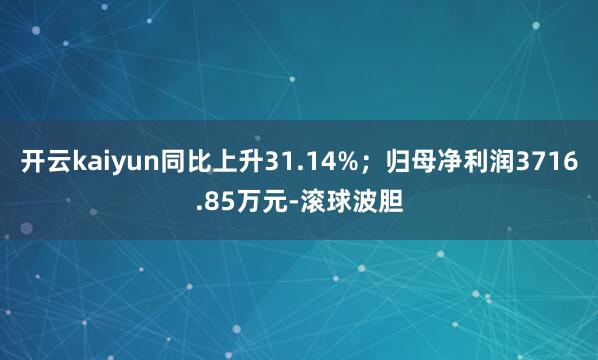 开云kaiyun同比上升31.14%；归母净利润3716.85万元-滚球波胆