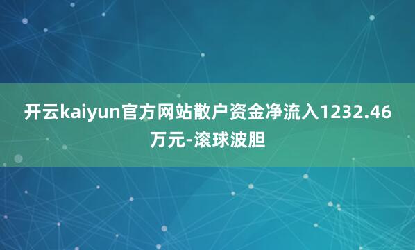 开云kaiyun官方网站散户资金净流入1232.46万元-滚球波胆