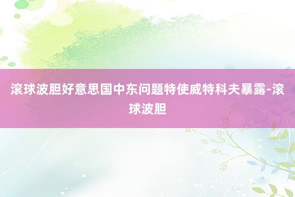 滚球波胆好意思国中东问题特使威特科夫暴露-滚球波胆