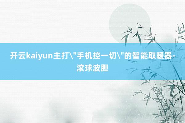 开云kaiyun主打