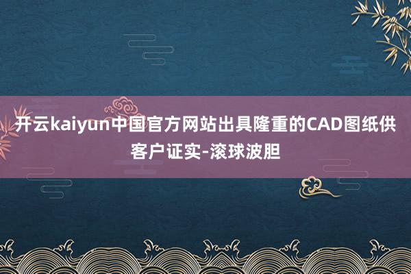 开云kaiyun中国官方网站出具隆重的CAD图纸供客户证实-滚球波胆