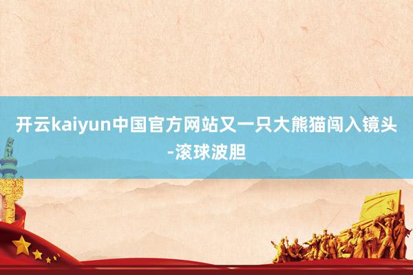 开云kaiyun中国官方网站又一只大熊猫闯入镜头-滚球波胆