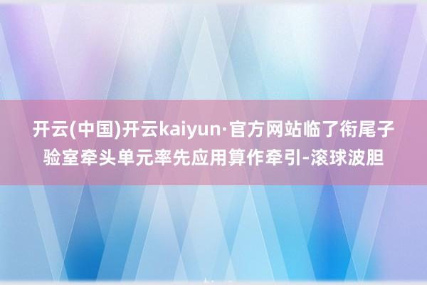 开云(中国)开云kaiyun·官方网站临了衔尾子验室牵头单元率先应用算作牵引-滚球波胆